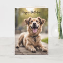 Search for smiling dog Birthday
