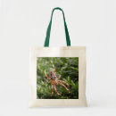 Search for spiders bags Bugs