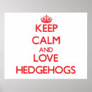 Search for sonic posters Hedgehog