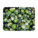 Search for fresh magnets Nutrition