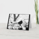 Search for snowbird cards Nature