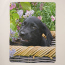 Search for labrador retriever blankets Funny