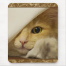 Search for for computer tech postcards Kitten