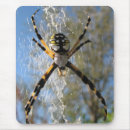 Search for leg mousepads Spider