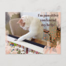 Search for cute pun postcards Kitty
