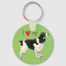 Search for springer spaniel Dog