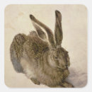 Search for durer stickers Renaissance