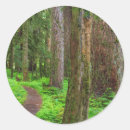 Search for lush green stickers Landscape