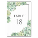 Search for succulent table cards Desert