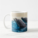 Search for dolphins mugs Fish