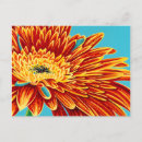 Search for burst postcards Flowers