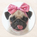Search for pug coasters Puppy