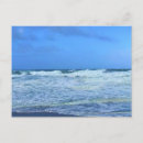 Search for reef postcards Surf
