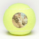 Search for cat tennis balls Cute