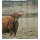 Search for highland cow shower curtains Cattle