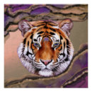 Search for purple tiger posters Gold