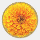 Search for marigold flowers stickers Yellow