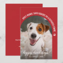 Search for cat lover christmas cards Pet