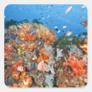 Search for komodo stickers Animal