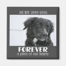 Search for pet memorial magnets Keepsake