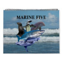 Search for seal calendars Sea lion