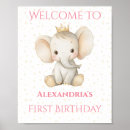 Search for princess birthday posters Tiara