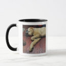 Search for standard poodles mugs Horizontal