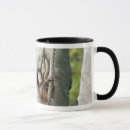 Search for orangutan mugs Wildlife