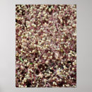 Search for cute shapes posters Beautiful