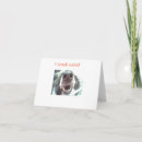 Search for nose cards Dog