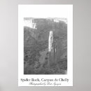 Search for spiders posters Black