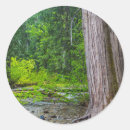 Search for kootenay stickers Kootenai national forest