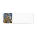 Search for birch tree return address labels Autumn