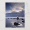 Search for olympic national park postcards Ocean
