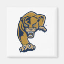 Search for panthers magnets Fiu