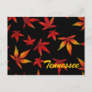 Search for tennessee postcards Autumn