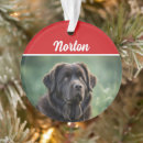 Search for newfoundland dog christmas tree decorations For pets