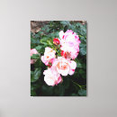 Search for red rose canvas prints Bloom
