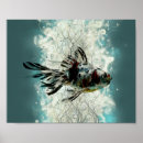 Search for gold fish posters Aquatic