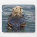 Search for fjords mousepads Alaska