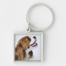 Search for cavalier king charles spaniel key rings Nature