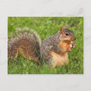 Search for packages postcards Cute