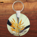 Search for roots round key rings Nature