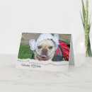 Search for costumes cards Dog