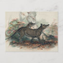 Search for marsupials postcards Nature