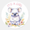 Search for baby koala stickers It's a girl