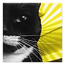 Search for closeup art Cat