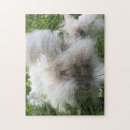 Search for angora English angora