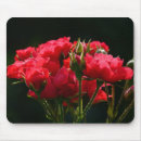 Search for budding mousepads Flowers