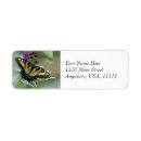 Search for butterfly wings return address labels Bug